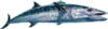 Blue Water King Mackerel Fish Web Icon Image